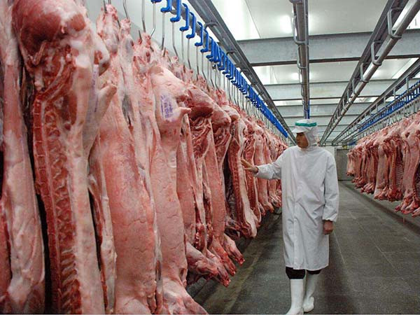 肉類(lèi)保鮮冷庫(kù)