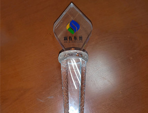 贏(yíng)在東莞三等獎(jiǎng)